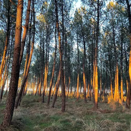 Hotel Paris Madrid Lesperon (Landes)