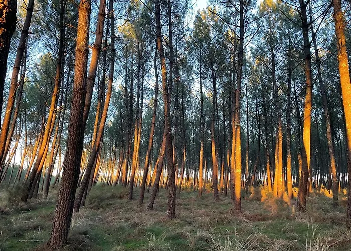 Hotel Paris Madrid Lesperon (Landes)